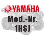 Yamaha Grizzly YFM 550 1HSJ