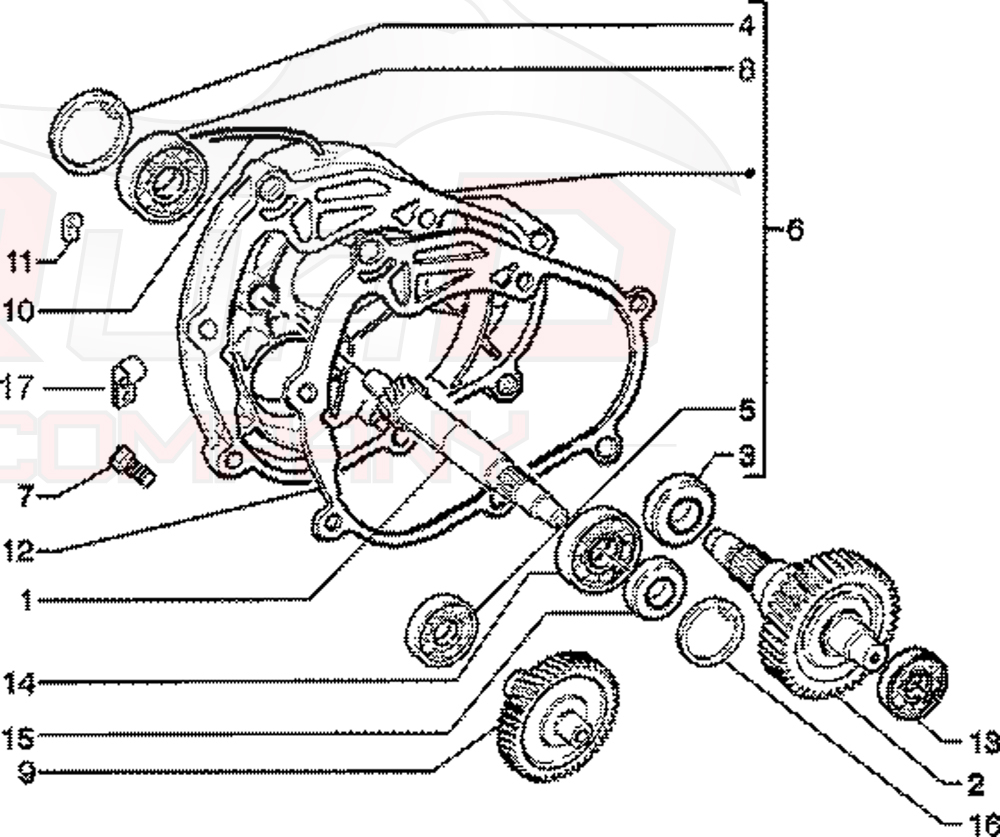 Radwelle Hinterradwelle Getriebe Set für Piaggio Skipper 125 Sikpper 150 