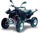 Adly ATV 50 RS XXL schwarz Ersatzteile