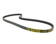 Keilriemen Malossi Special Belt für Piaggio, Vespa Ciao, PX50